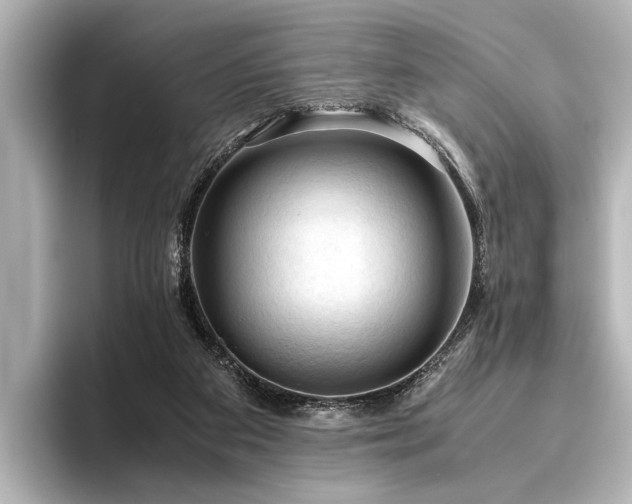 X0000096440113200801241406
