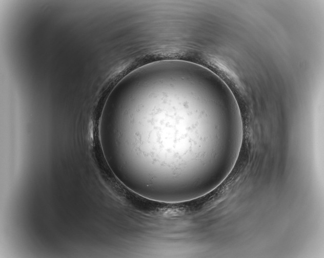 X0000096440115200801241406