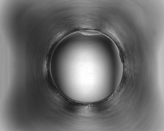 X0000096440116200801241406