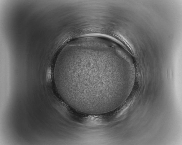 X0000096440117200801241406