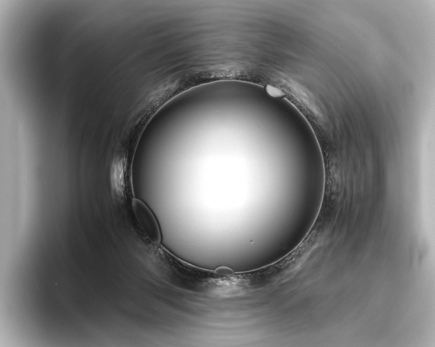 X0000096440118200801241406