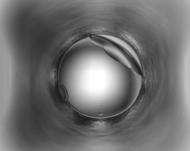 X0000096440119200801241406