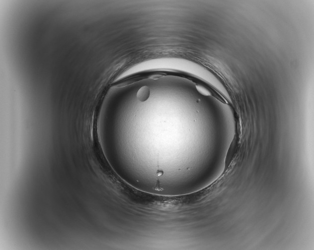X0000096440120200801241406
