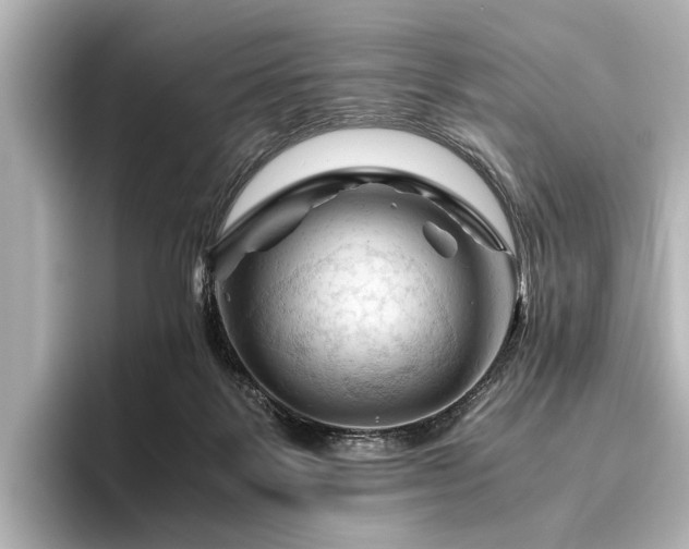 X0000096440123200801241406