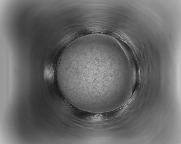 X0000096440124200801241406