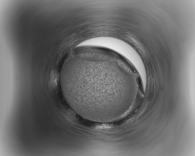X0000096440125200801241406