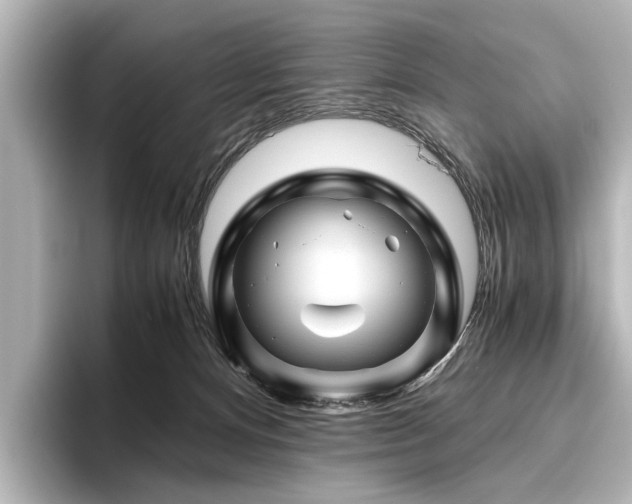 X0000096440128200801241406