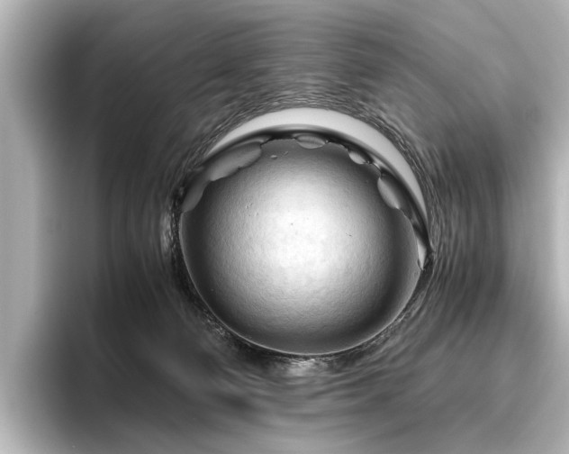 X0000096440130200801241406