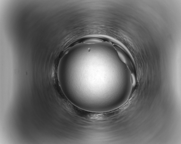 X0000096440132200801241406