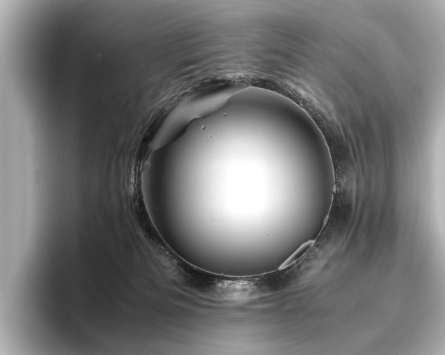 X0000096440133200801241406