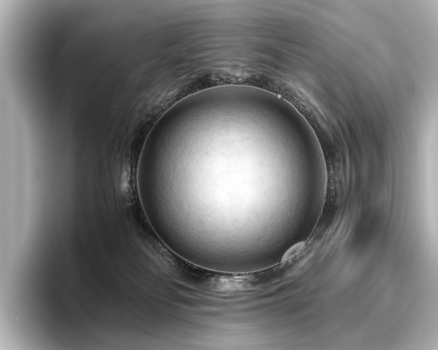 X0000096440134200801241406