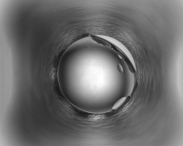 X0000096440135200801241406