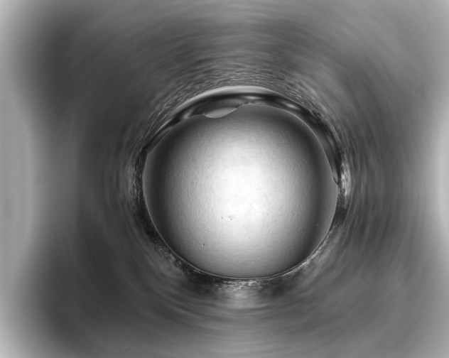 X0000096440136200801241406