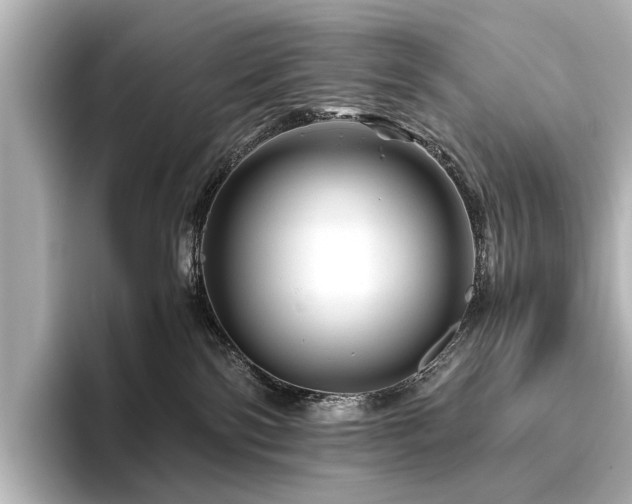 X0000096440138200801241406