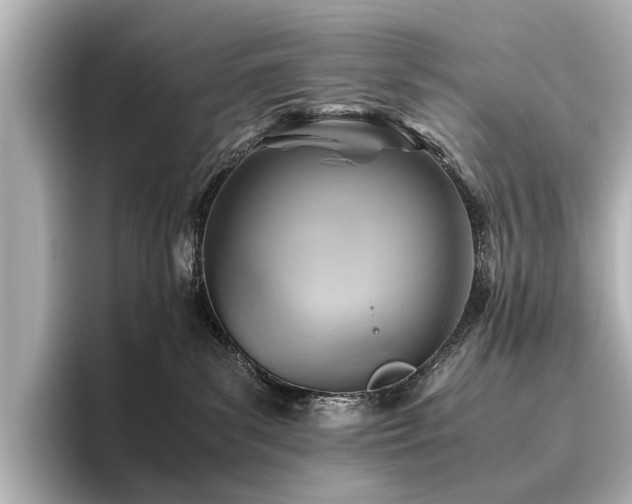 X0000096440139200801241406