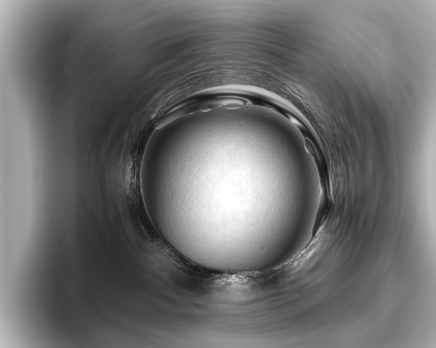 X0000096440140200801241406