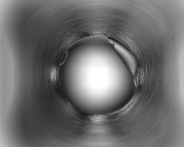 X0000096440142200801241406