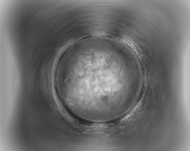 X0000096440145200801241405