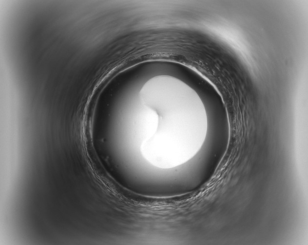 X0000096440146200801241405