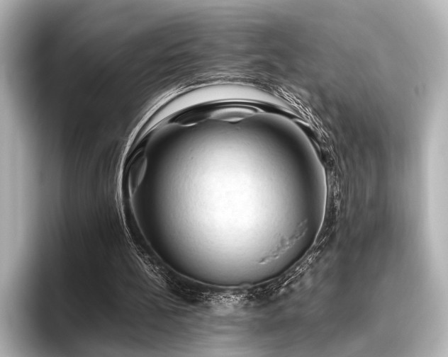 X0000096440148200801241405