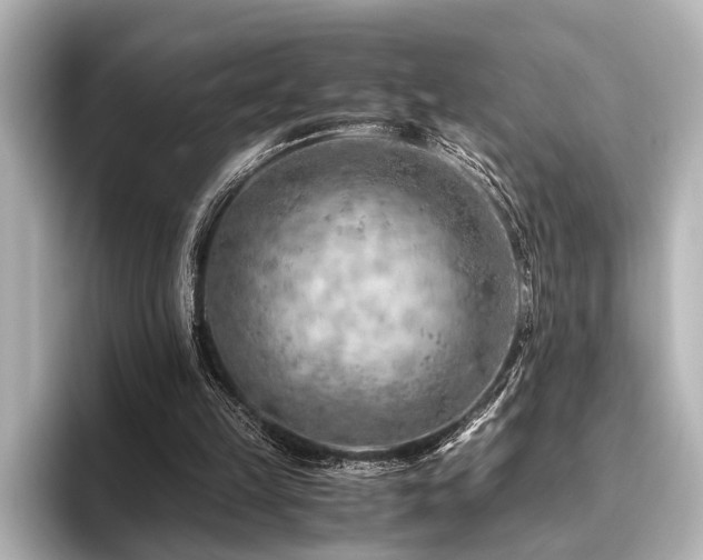 X0000096440149200801241405