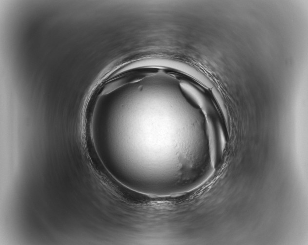 X0000096440150200801241405