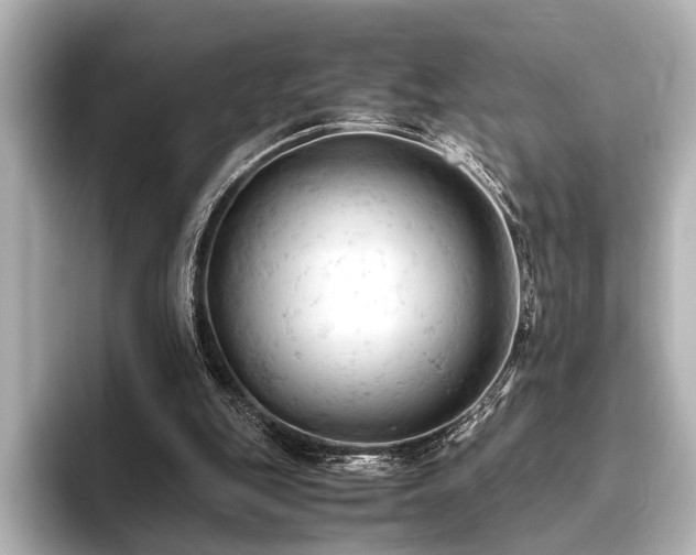 X0000096440151200801241405