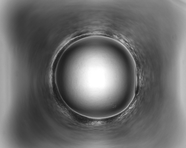 X0000096440152200801241405