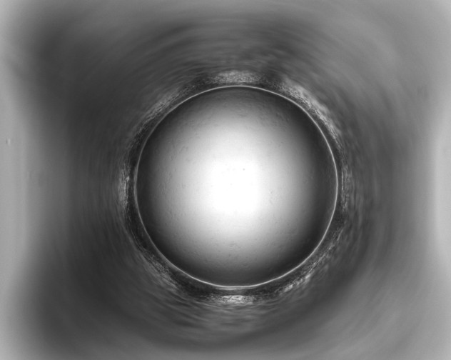 X0000096440153200801241405