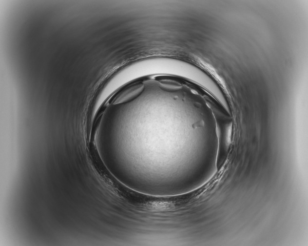 X0000096440154200801241405