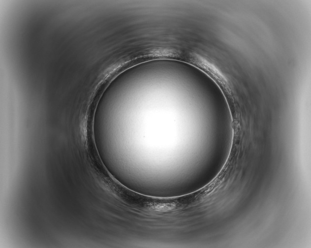 X0000096440155200801241405