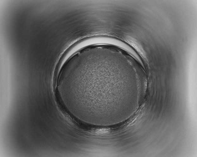 X0000096440156200801241405