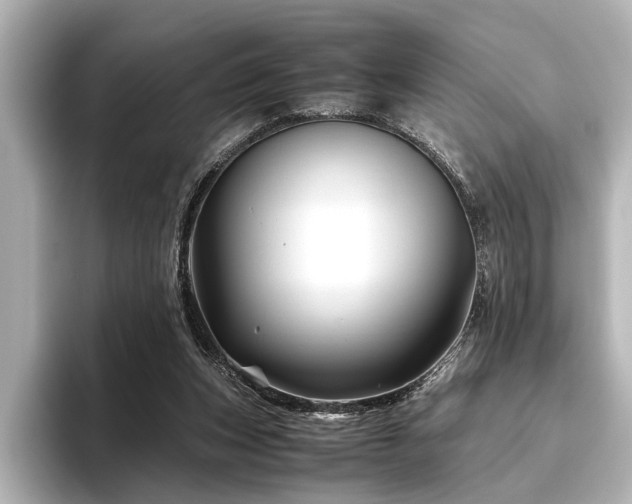 X0000096440159200801241405