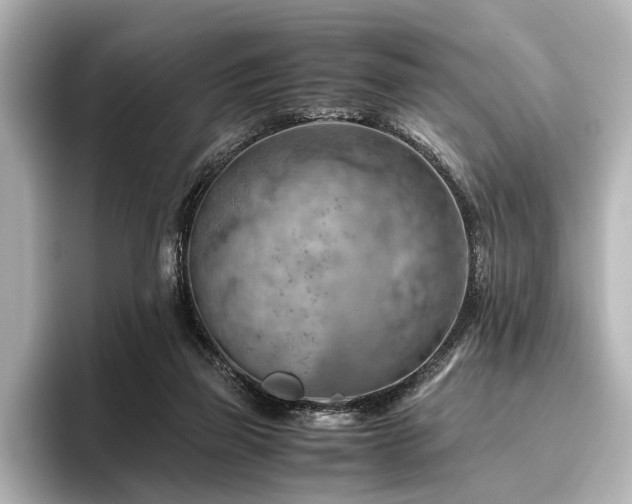 X0000096440165200801241406