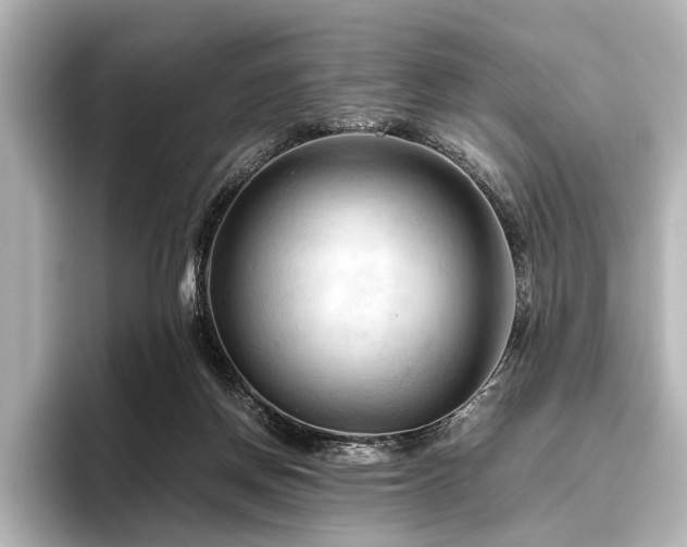 X0000096440166200801241406