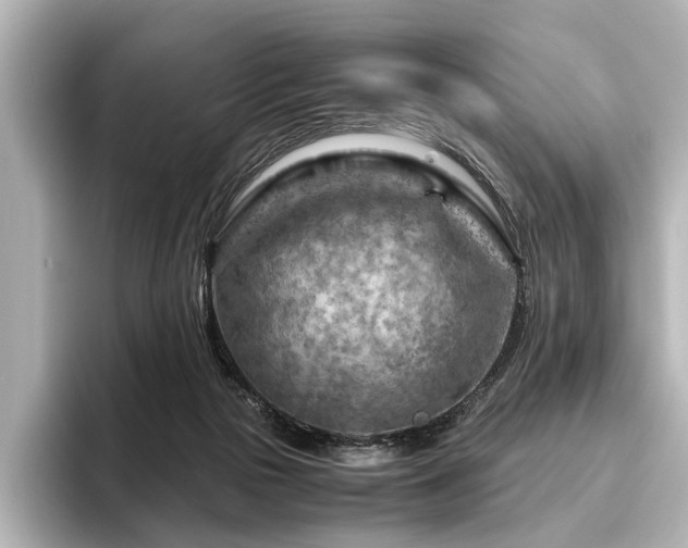 X0000096440169200801241406