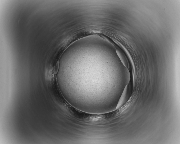 X0000096440172200801241406