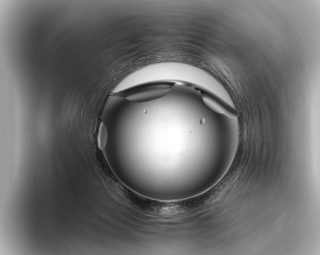 X0000096440173200801241406