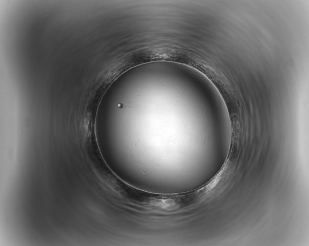 X0000096440174200801241406
