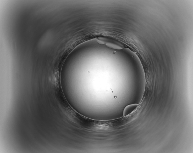 X0000096440175200801241406