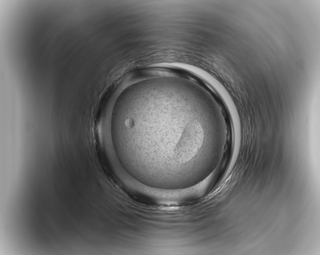 X0000096440176200801241406