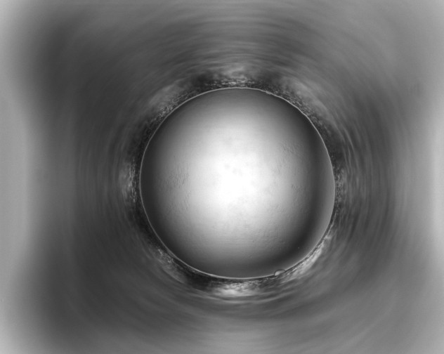 X0000096440178200801241406