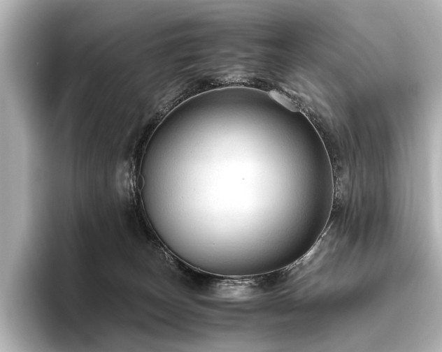 X0000096440179200801241406
