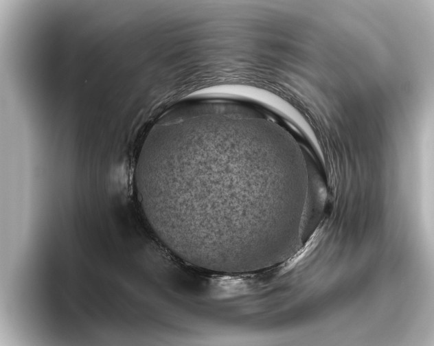 X0000096440180200801241406