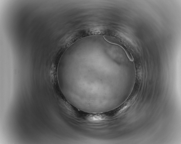 X0000096440181200801241406