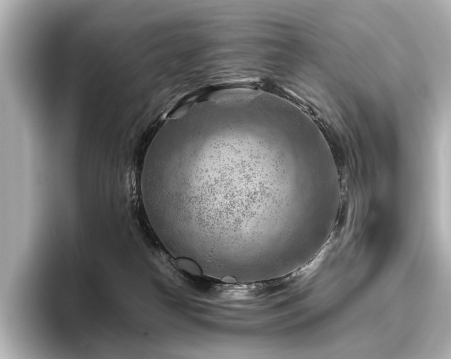 X0000096440182200801241406
