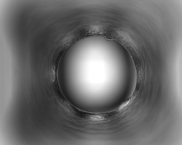 X0000096440183200801241406