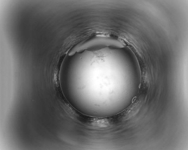X0000096440185200801241406