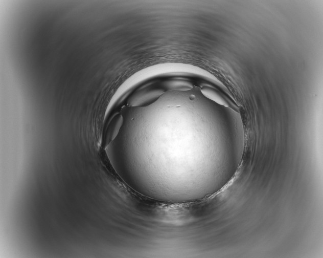 X0000096440186200801241406