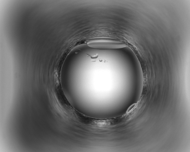 X0000096440187200801241406
